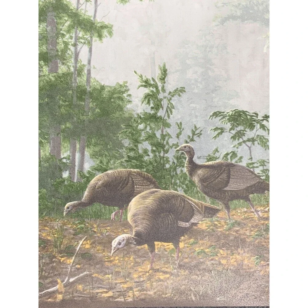 Seabrook Designs Wild Turkey Prepasted Wallpaper Border HG522B X 3 rolls